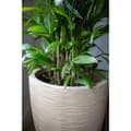 Miniatyrbillede 7 af 10: Capi lav krukke Waste Rib 34x46 cm beige