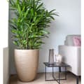 Miniatyrbillede 8 af 10: Capi lav krukke Waste Rib 34x46 cm beige