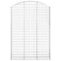 Pikkukuva 3 / 5: vidaXL Kaareva kivikori 150x30x200/220 cm galvanoitu rauta