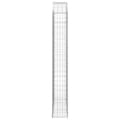 Pikkukuva 4 / 5: vidaXL Kaareva kivikori 150x30x200/220 cm galvanoitu rauta