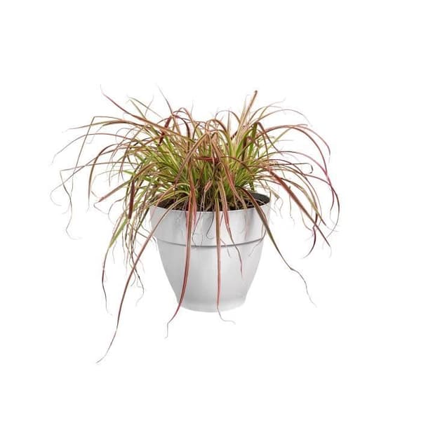 ELHO Rund blomkruka Vibia Campana - Ø 20 cm - Vit