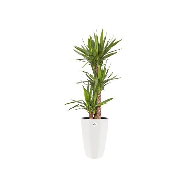 ELHO Flowerpot Brussels 27 - Rund och hög diamant - Vit - Interiör - Ø 27 x H 44 cm