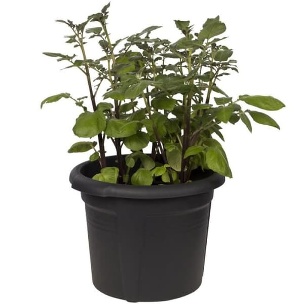 Grönsaksblomkruka med insats för terrasser och dubbelväggiga balkonger Ø 32 cm