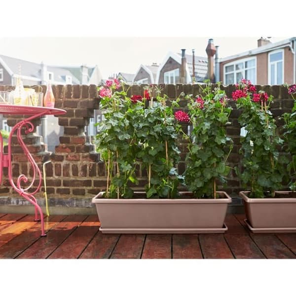 Barcelona XL rektangulär plantering - 60 cm - Taupe - Elho 60 x 25 x 21 cm