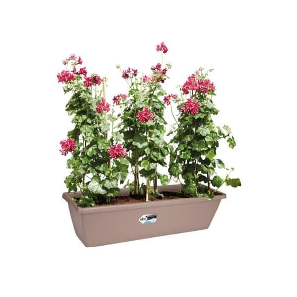 Barcelona XL rektangulär plantering - 60 cm - Taupe - Elho 60 x 25 x 21 cm