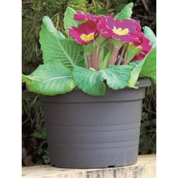CILINDRO Pot Ø50 antracit 41 L
