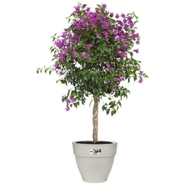 VIBIA Rund Blomkruka - Reservoarplast - Ø40 - Vit