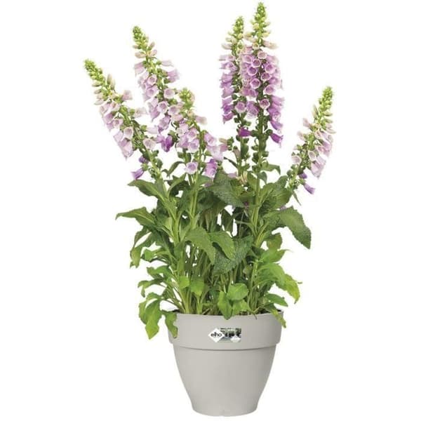 VIBIA Rund Blomkruka - Reservoarplast - Ø40 - Vit