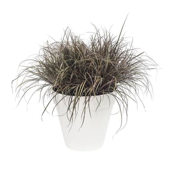 Blomkruka Elho Plast Rund Loft Urban Vit Ø 30 x 26 cm 9,6 l