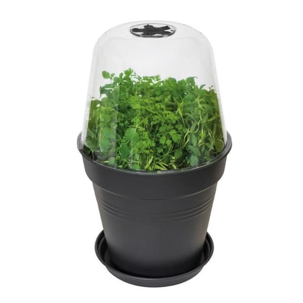 Odlingsskydd - ELHO GIVE Room TO Nature - 30 cm - Plast - Transparent