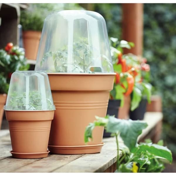 Odlingsskydd - ELHO GIVE Room TO Nature - 30 cm - Plast - Transparent