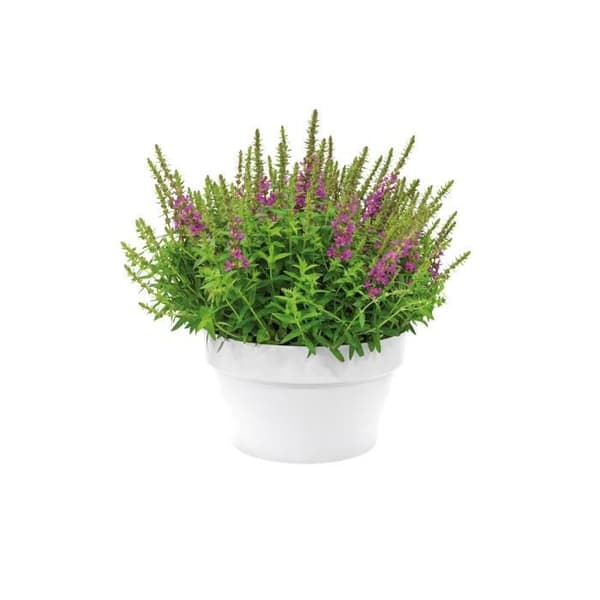 ELHO Loft Urban Blomkruka - Bägare 35 cm - Vit