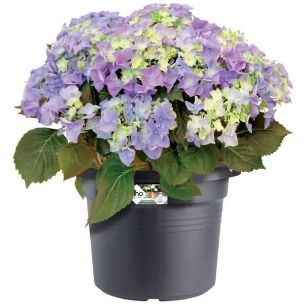 GREEN BASICS Rund Blomkruka - Plast - Ø40 - Svart