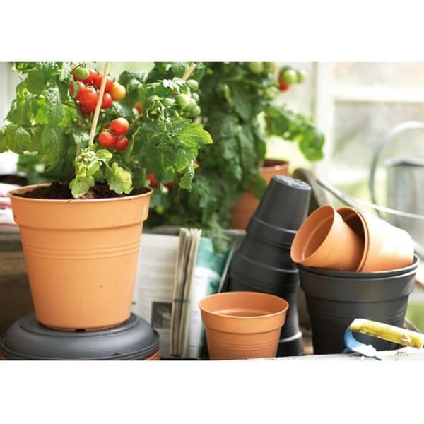 Odlingskruka - ELHO GIVE Room TO Nature - Grön Basics - 17 cm - Svart