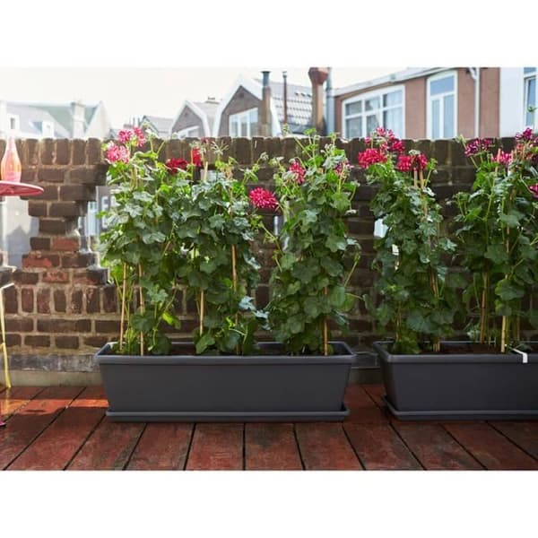 Rektangulär Barcelona XL plantering - 60 cm - Antracit - Elho