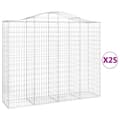 Pikkukuva 2 / 6: vidaXL Kaarevat kivikorit 25 kpl 200x50x160/180 cm galvanoitu rauta