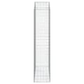 Pikkukuva 4 / 5: vidaXL Kaareva kivikori 150x50x220/240 cm galvanoitu rauta