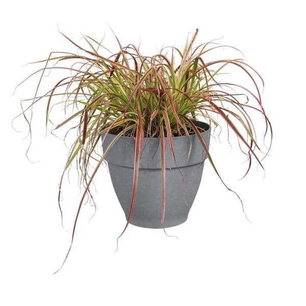 ELHO Vibia Campana rund blomkruka - Ø 25cm - Grå - Perfekt för vilda och hängande växter