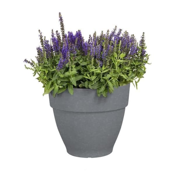 ELHO Vibia Campana rund blomkruka - Ø 25cm - Grå - Perfekt för vilda och hängande växter