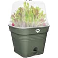 Miniatyrbild 3 av 5: Green Basic Square Flower Pot - Plast - Tank - Ø20 - Leaf Green