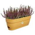 Miniatyrbillede 4 af 5: Vibia Rectangle Planter - Plast - Tank - Ø50 - Pushing Pink