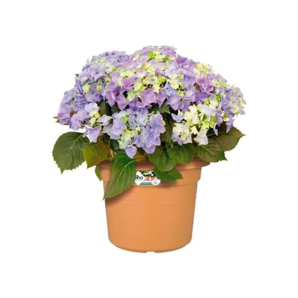Gröna grunder rund blomkruka - plast - Ø40 - mjuk terrakotta