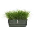 Miniatyrbillede 4 af 6: Oval Planter Greenville - Plast - Ø50 - Leaf Green