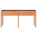 Miniatyrbilde 4 av 8: vidaXL Plantekasse med foring brun 161x45x76 cm heltre gran
