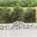 Miniatyrbillede 2 af 6: vidaXL buede gabionkurve 14 stk. 200x30x40/60 cm galvaniseret jern