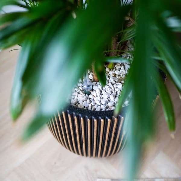 Capi Kruka Groove 43x41 cm svart och guld