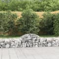 Miniatyrbilde 2 av 6: vidaXL Gabioner bågformade 25 st 200x50x40/60 cm galvaniserat järn