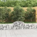 Miniatyrbillede 1 af 6: vidaXL buede gabionkurve 7 stk. 200x30x40/60 cm galvaniseret jern