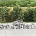 Miniatyrbillede 1 af 6: vidaXL buede gabionkurve 5 stk. 200x50x40/60 cm galvaniseret jern