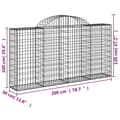 Miniatyrbillede 6 af 6: vidaXL buede gabionkurve 10 stk. 200x30x100/120 cm galvaniseret jern