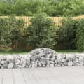 Miniatyrbillede 1 af 6: vidaXL buede gabionkurve 6 stk. 200x50x40/60 cm galvaniseret jern