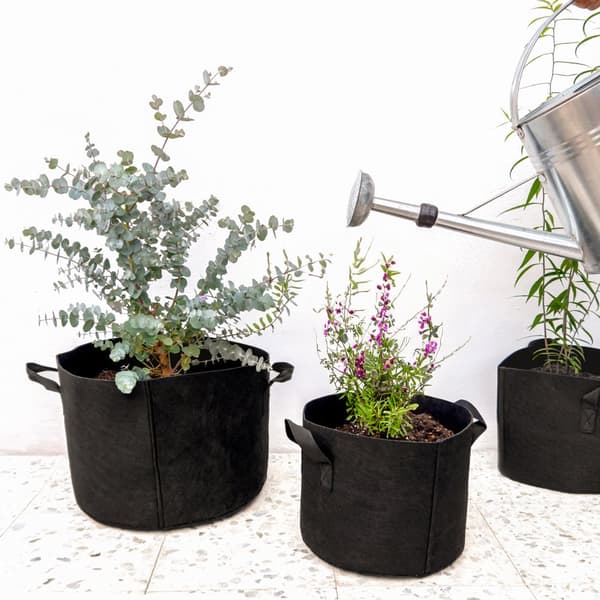 Plantepose i non-woven i forskjellige størrelser Plantebeholder i non-woven med bærehåndtak