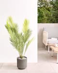 Miniatyrbillede 2 af 8: Blomsterkrukke Taupe Fiber Ler ø 24 cm Rund Havekrukke med Riller Frostsikker Design til Indendørs og Udendørs Plantekrukke