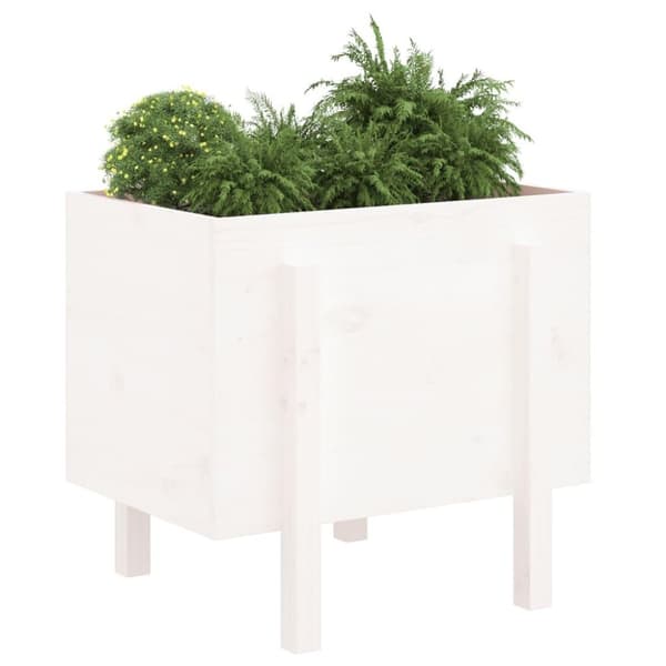vidaXL plantekasse 62x50x57 cm massivt fyrretræ hvid