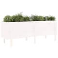 Miniatyrbilde 2 av 9: vidaXL Høybed for hage hvit 160x50x57 cm heltre furu
