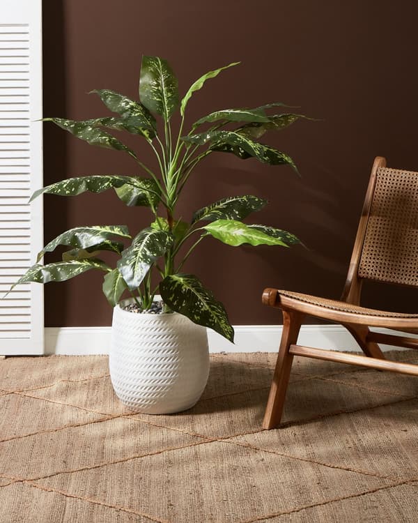 Plantekrukke Creamhvid Fiber Ler ø 27 cm Rund Havekrukke Design Stor Udendørs Krukke Frostsikker til Haven