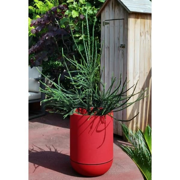 RIVIERA - Tulpan blomkruka - granit D40 - röd
