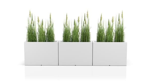 Blomlåda LONGERINO - inomhus och utomhus - 100x35x70cm - vit