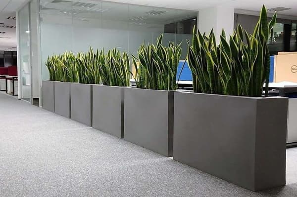 Blomlåda LONGERINO - inomhus och utomhus - 100x35x70cm - vit