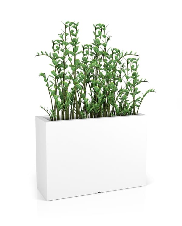 Blomlåda LONGERINO - inomhus och utomhus - 100x35x70cm - vit