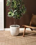 Miniatyrbild 2 av 7: Planteringskruka för utomhusbruk Lera Fiber Vit 35 x 35 x 33 cm Planter Rund UC Resistent Bladmotiv Traditionell