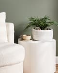 Miniatyrbild 2 av 7: Planteringskruka för utomhusbruk Lera Fiber Vit 25 x 25 x 14 cm Planter Rund UC Resistent Bladmotiv Traditionell