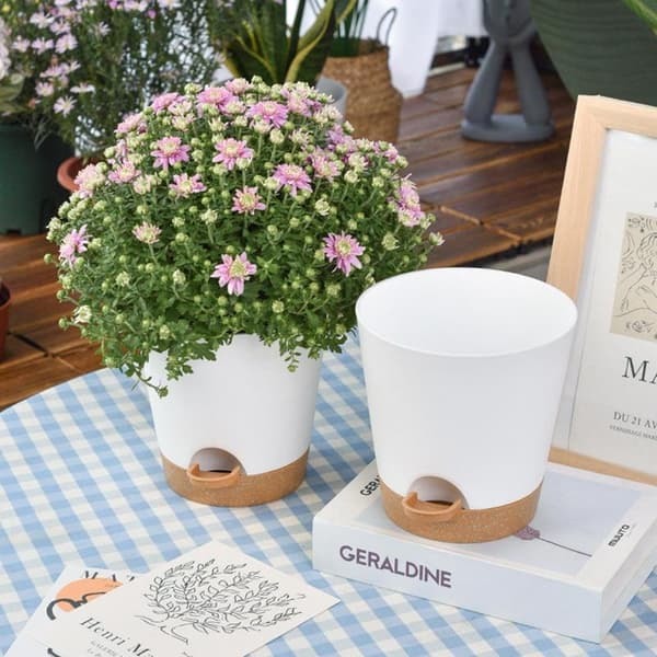 5-Pak - Selvvandende potte / Selvvanding / Blomstervander