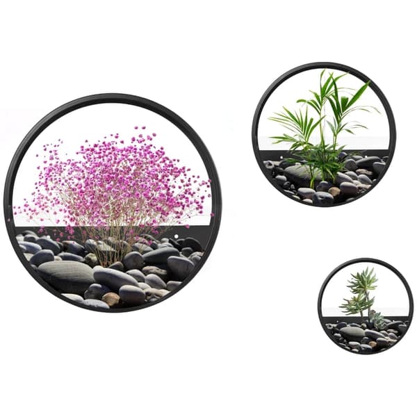 Rootz Väggplantor - Set om 3 - Stapelbara - Utomhusplanteringar - Plant Vägghylla - Stål+akryl - Svart
