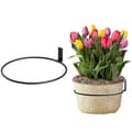 Miniatyrbilde 1 av 4: INF Vegg blomsterpottestativ, planteholder