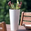 Miniatyrbild 5 av 10: Prosperplast Blomkruka 64l Tubus Slim Collection 40x40x76.2 Cm Za4096 Durchsichtig